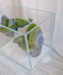 Nano Aquarium 6L Ultra White Glass Fish Tank Aquascape Sky City Suspended Rock