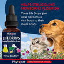 2x Phytopet Life Drops 10ml Herbal Pet Supplement Puppies Kittens Small Animals