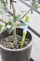 SUStee Plant Watering Indicator Size S Small Green Set of 5 Soil Monitor