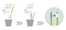 SUStee Plant Watering Indicator Size S Small Green Set of 5 Soil Monitor