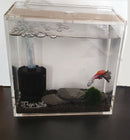 Small Acrylic Fish Tank Breeding Box Nano Aquarium With Sliding Lid 4L or 8L